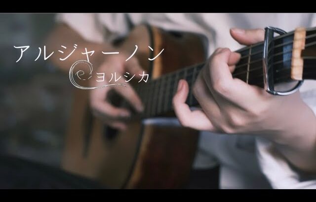 【ギター】アルジャーノン(Algernon) / ヨルシカ(Yorushika) – Saku