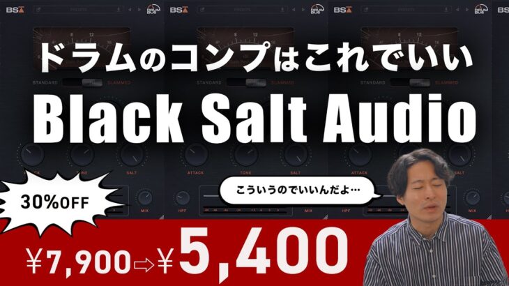 ドラムのコンプはこれでいい【Black Salt Audio – Drum Bus】