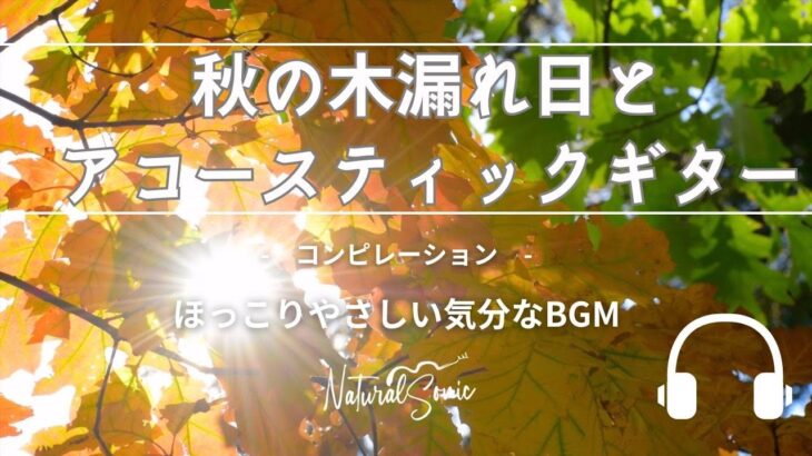 Natural Sonic「秋の木漏れ日とアコースティックギター 」コンピレーション – ほっこりやさしい気分なBGM –