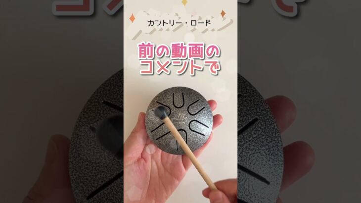 🪿実はこの楽器🪿 #ミニタングドラム