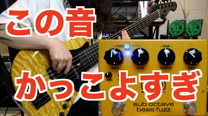 【ベース】めっちゃかっこいい音の歪みエフェクターを紹介します！【MXR sub octave bass fuzz】