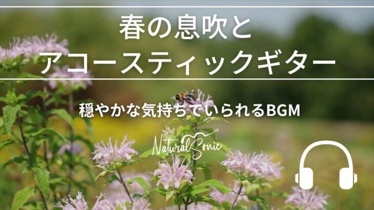 Natural Sonic「春の息吹とアコースティックギター」- 穏やかな気持ちでいられるBGM –